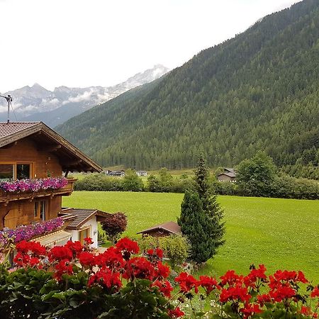 Appartement Griesshof à Neustift im Stubaital Extérieur photo