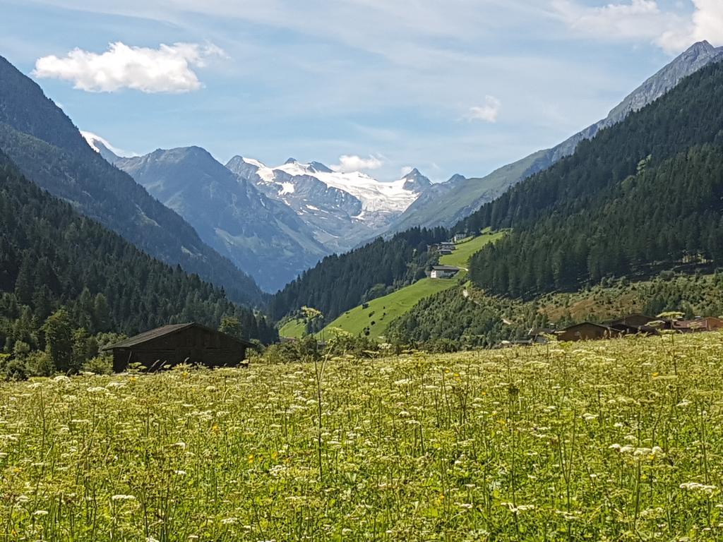 Appartement Griesshof à Neustift im Stubaital Extérieur photo